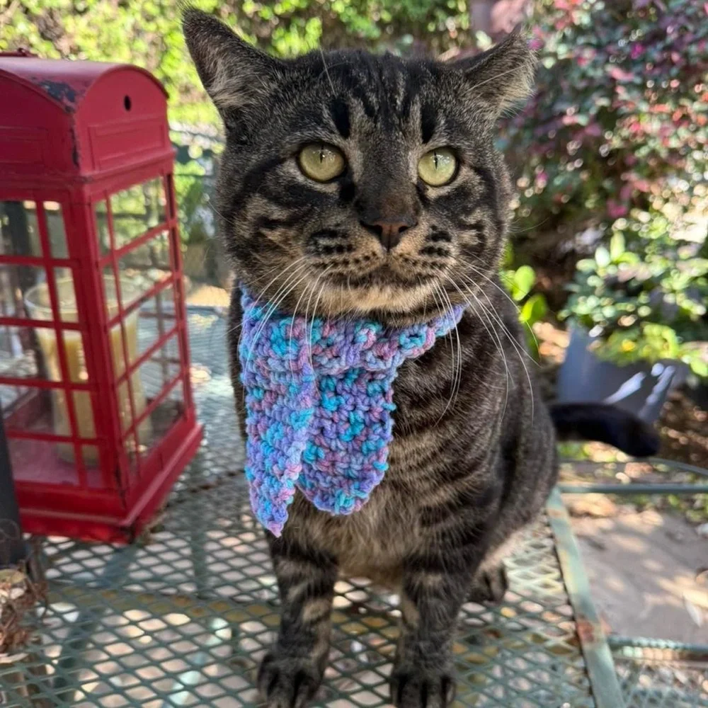 Adorable Handmade Blue and Purple Cat / Dog Scarf